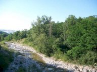 Vendita Terreno Agricolo Travo