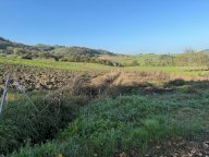 V Terreno residenziale Langhirano
