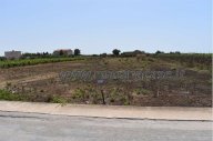 Vendita Terreno Agricolo Mazara del Vallo
