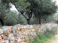 Vendita  San Nicandro Garganico