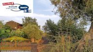 Vendita Terreno Agricolo Camporotondo Etneo