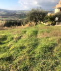 Vendita Terreno Edificabile Gradara