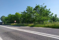 Vendita Terreno Agricolo San Donà di Piave