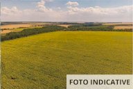 Vendita Terreno Agricolo Gazzola