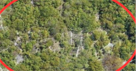 Vendita Terreno Agricolo San Leo