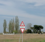 Vendita Terreno Agricolo Copparo