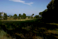 Vendita Terreno Agricolo Porto Sant'Elpidio