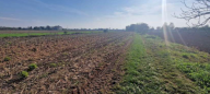 Vendita Terreno Agricolo Trevignano