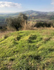Vendita Terreno Edificabile Gradara