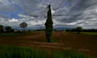 Vendita Terreno Agricolo Galliera Veneta
