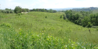 Vendita Terreno Agricolo Montespertoli