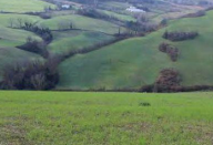 Vendita Terreno Agricolo Meldola