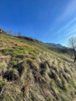 Vendita Terreno Agricolo San Pellegrino Terme