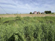 Vendita Terreno Edificabile Nogara