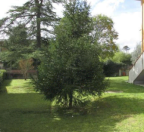 Vendita Terreno Agricolo San Miniato