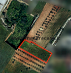 Vendita Terreno Agricolo Mazara del Vallo