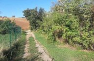 Vendita Terreno Agricolo Agazzano