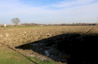 Vendita Terreno Agricolo Venezia