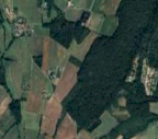 Vendita Terreno Agricolo Rivergaro