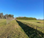 Vendita Terreno Agricolo Vicenza