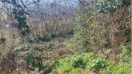 Vendita Terreno Edificabile Vallefoglia