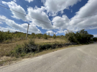 Vendita Terreno Agricolo Borgo Tossignano