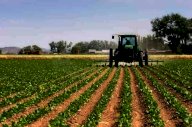 Vendita Terreno Agricolo Capannori