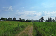 Vendita Terreno Agricolo Ozzero