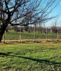 Vendita Terreno Agricolo Fiume Veneto