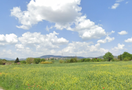 Vendita Terreno Edificabile Perugia