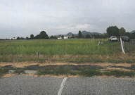 Vendita Terreno Edificabile Monselice