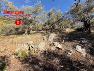 Vendita Terreno Agricolo Roccarainola