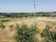 Vendita  Grottaferrata