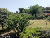 Vendita  Grottaferrata