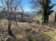 Vendita Terreno Agricolo Rosignano Monferrato