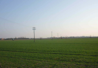 Vendita Terreno Agricolo San Giorgio Bigarello