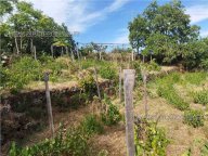 Vendita  Castiglione di Sicilia