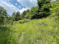 Vendita Terreno Agricolo Mura