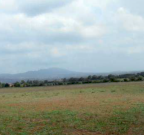 Vendita Terreno Edificabile Lanuvio