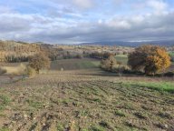 Vendita Terreno Agricolo Todi