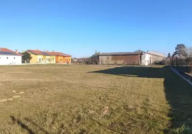 Vendita Terreno Edificabile Orgiano