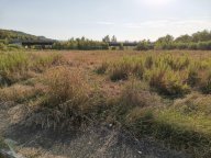 vendita terreno industriale San Gimignano