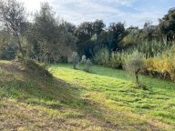 vendita terreno agricolo Livorno