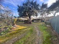 vendita terreno residenziale Cecina