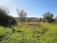 vendita terreno residenziale Casciana Terme Lari