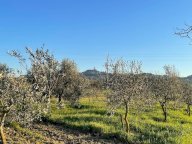 vendita terreno agricolo San Miniato
