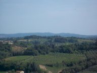 vendita terreno agricolo San Miniato