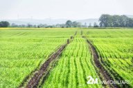 vendita terreno agricolo San Giuliano Terme