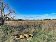 vendita terreno agricolo Piombino
