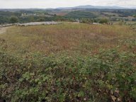 vendita terreno agricolo Poggibonsi